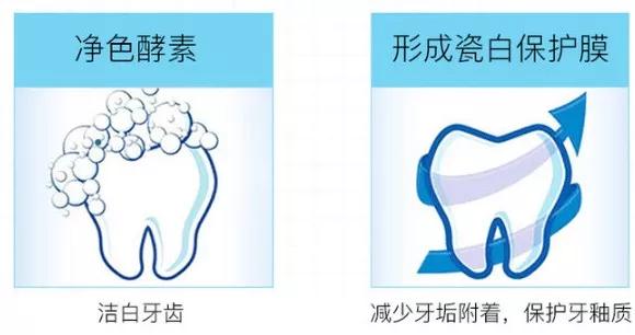 去除牙黄口臭牙膏实验,酵素牙膏去烟渍美白牙结石