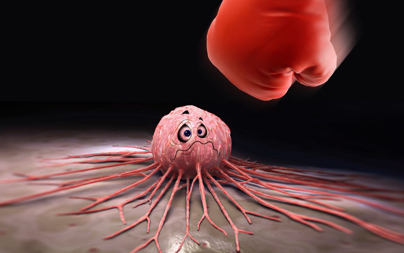 得了乳腺癌怎么调理身体,得了乳腺癌平时该注意什么