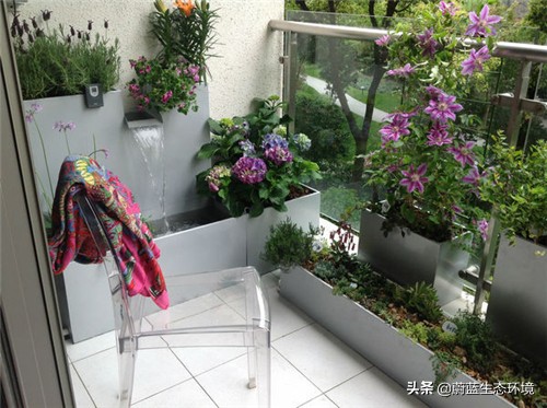 四月份适合在阳台上种植的蔬菜,阳台上种植营养液体蔬菜