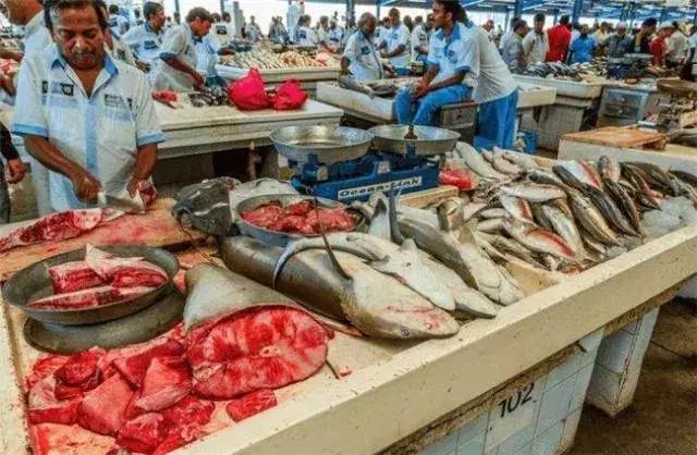 迪拜到底多有钱呢,迪拜土豪来中国给小费