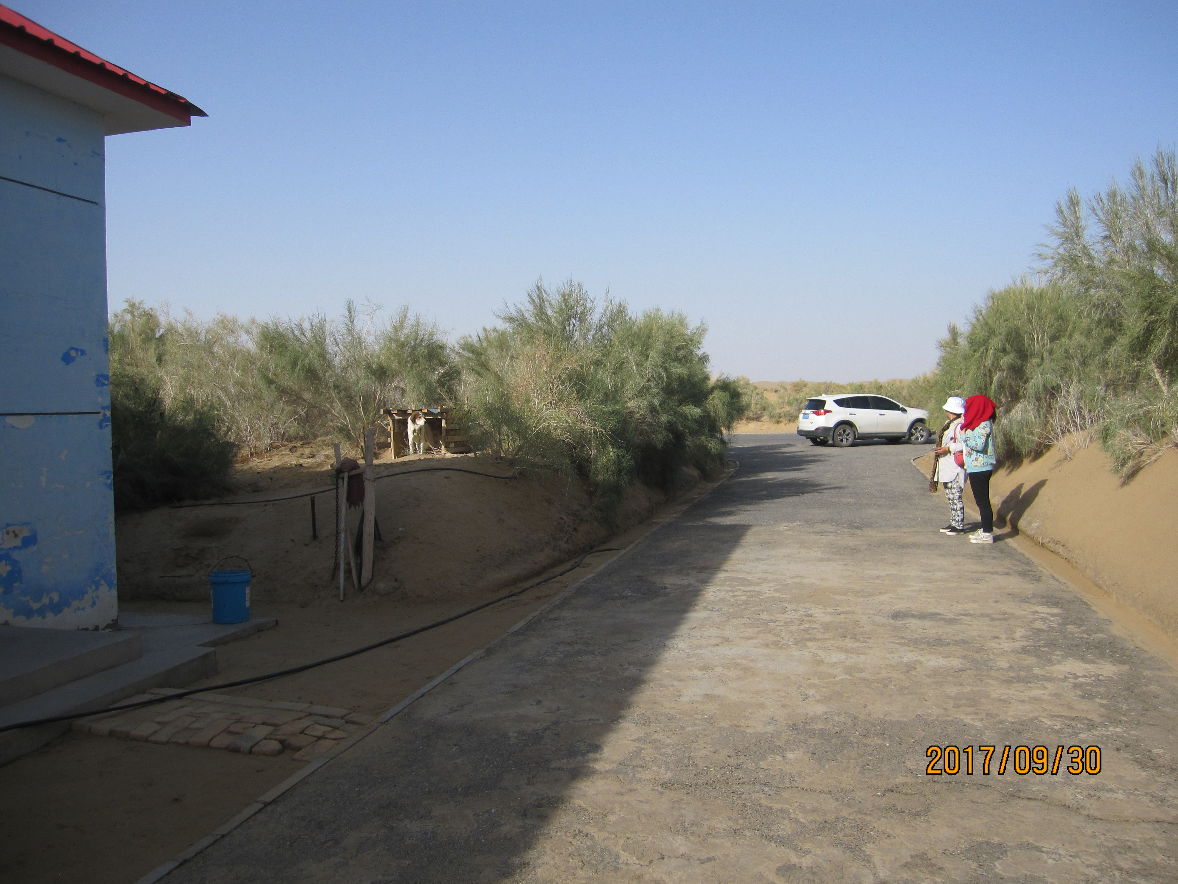 13000公里新手独驾*疆新**日记第23天——塔克拉玛干沙漠陷车自救