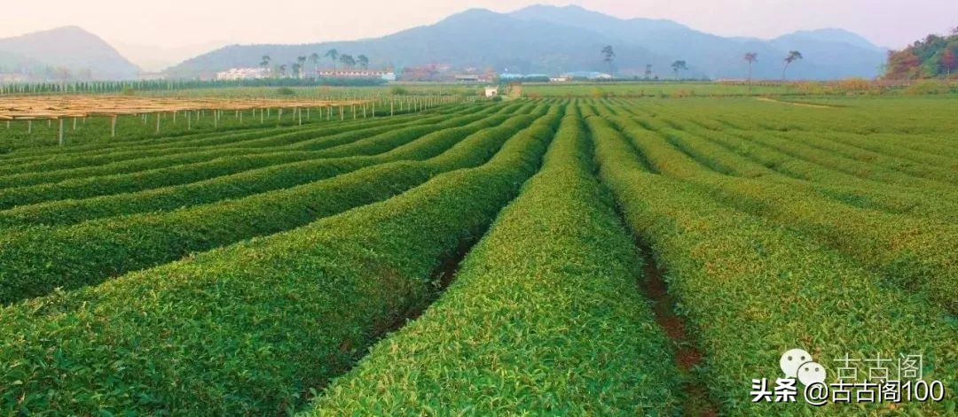 绍兴诗意民宿酒店式公寓,绍兴诗意