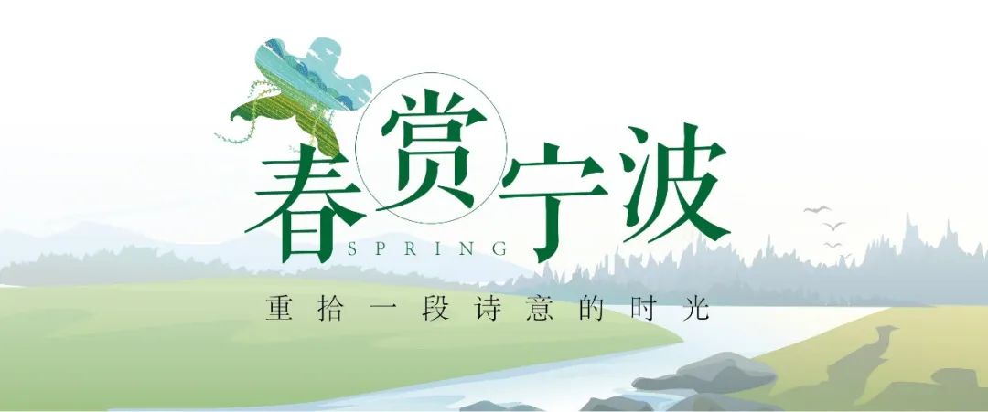 宁波看风景最好的酒店,宁波适合旅游的酒店推荐