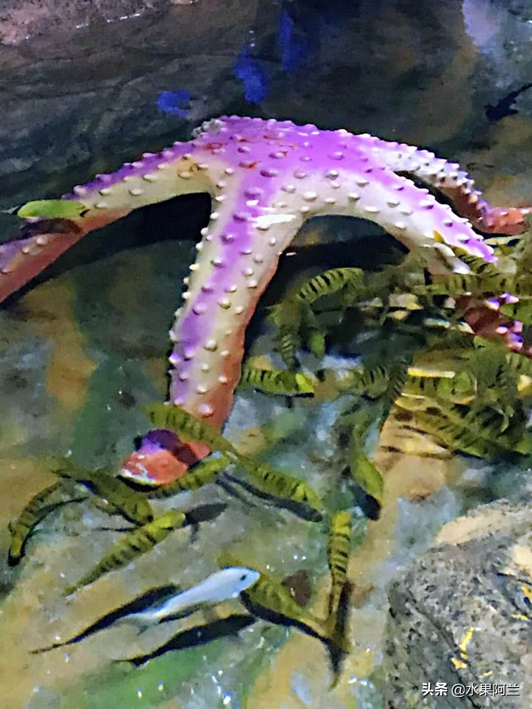 大连旅游团4天三晚,大连4天3晚跟团自由行