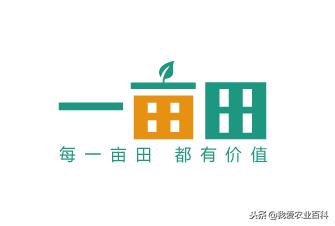 我们的农产品怎么在互联网售卖