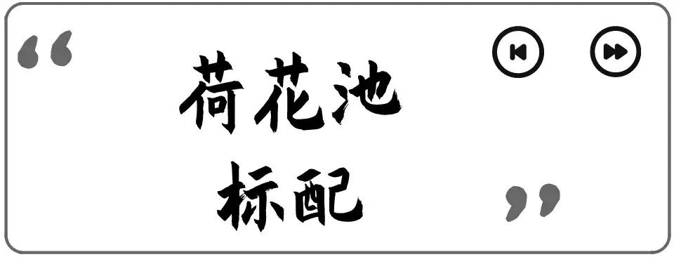 荷花池复原,荷花池变身素材