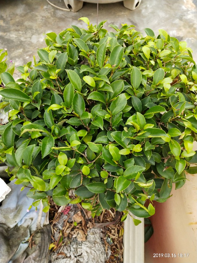 高中英语选修派生词汇总,高中英文派生词