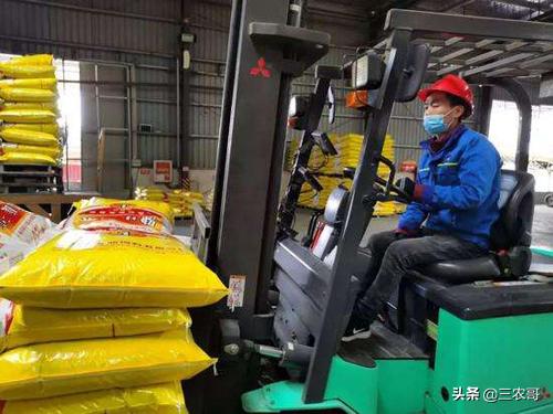 乡村干什么最有前景赚钱,农民打工最赚钱的方法排行榜