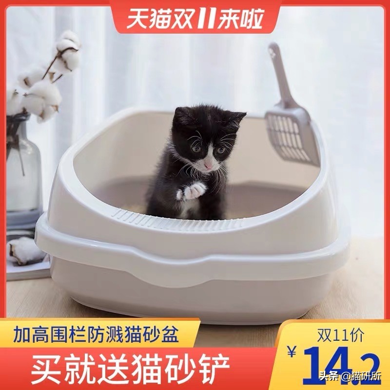 铲屎官猫砂推荐,猫砂推荐铲屎官必备