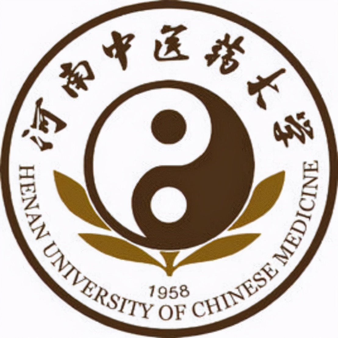 河南医科大学南丁格尔,河南十大最尴尬大学