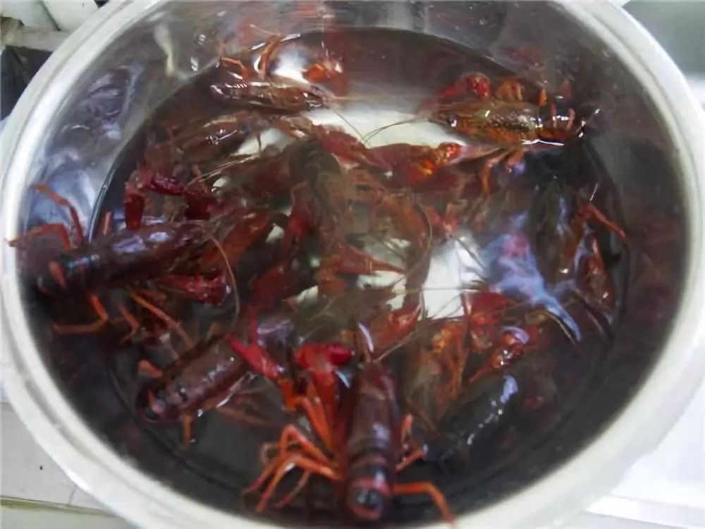 只用清水洗小龙虾,越洗越脏,教你正确方法,细菌寄生虫统统去除