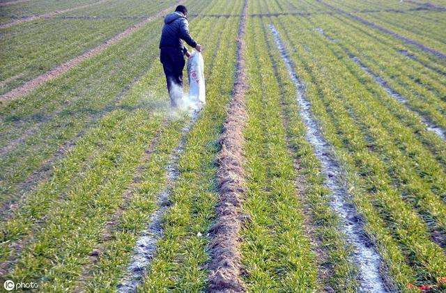 介绍一下自制养花的杀虫方法,自制杀虫水喷花草
