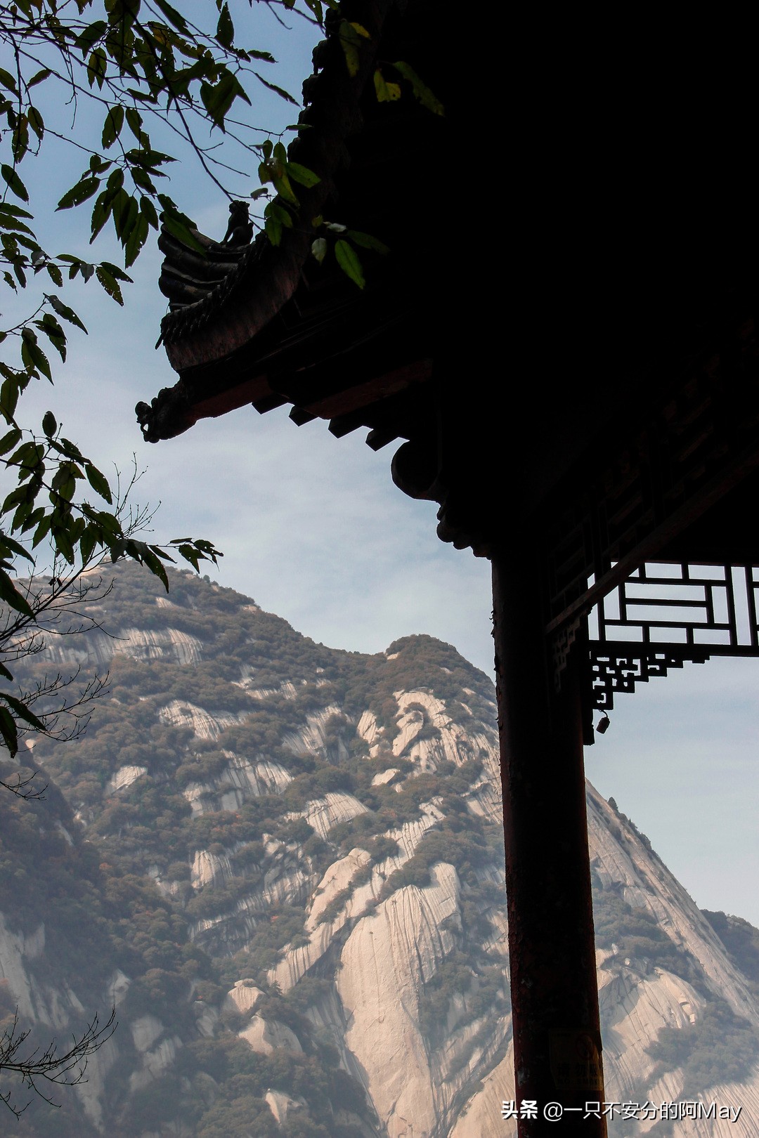 为什么爬华山都是夜爬,华山自古一条道很有必要爬吗