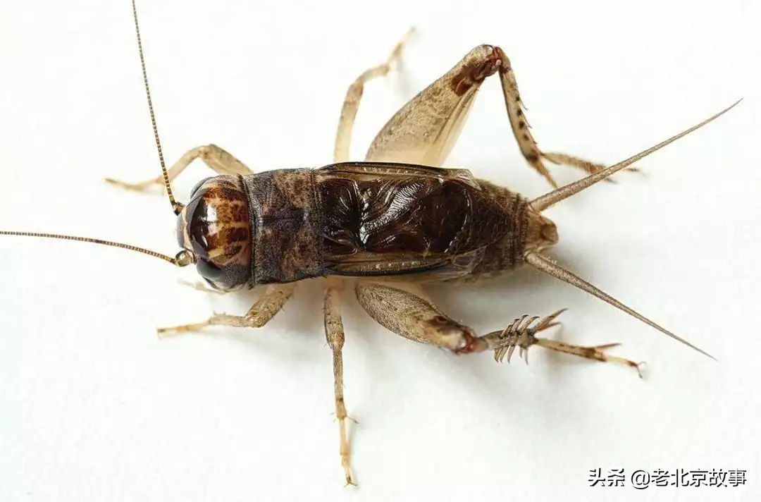 身份证上是1970-1989年的注意了，再忙也要看一下！