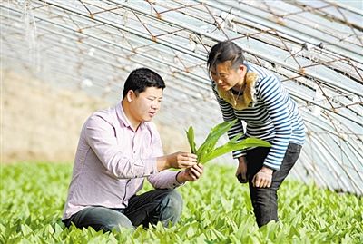 农业电气化专业是冷门还热门专业,农业机械化及其自动化是冷门专业