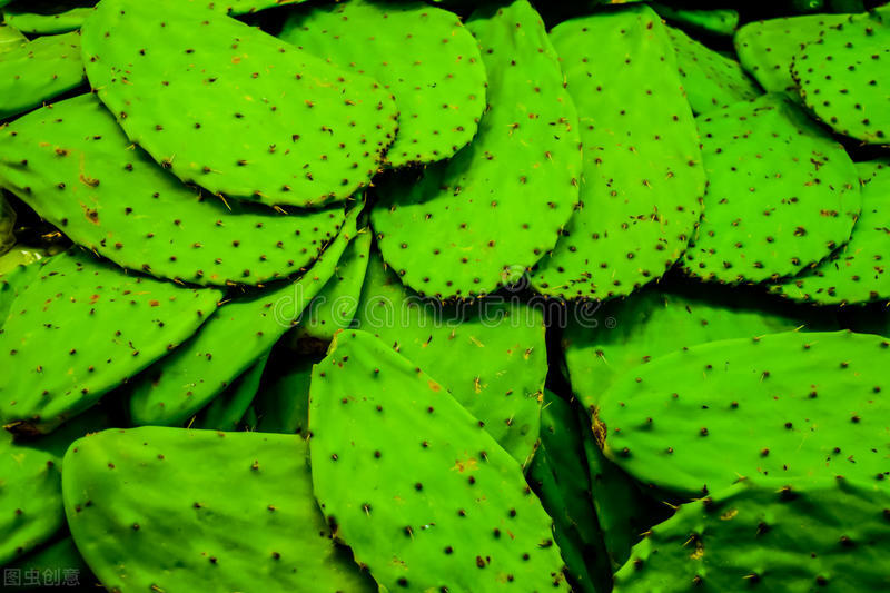 墨西哥首都航拍墨西哥城,墨西哥的墨西哥城