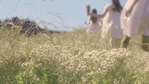 装饰品店都卖什么,室内装饰品店