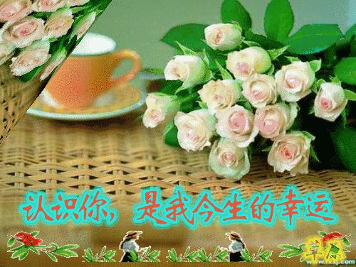 最美早上好祝福语图片,最新早上好带祝福语微信图片