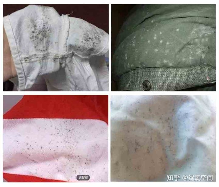 衣服长了霉点,衣服上长霉点是怎么回事