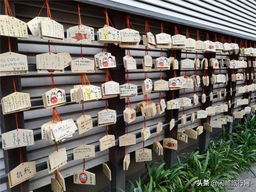 海洋量子号邮轮游记,海洋量子号邮轮冲绳旅游