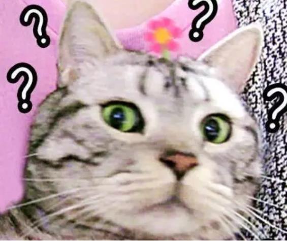 你醒醒抖音,你醒醒完整版视频