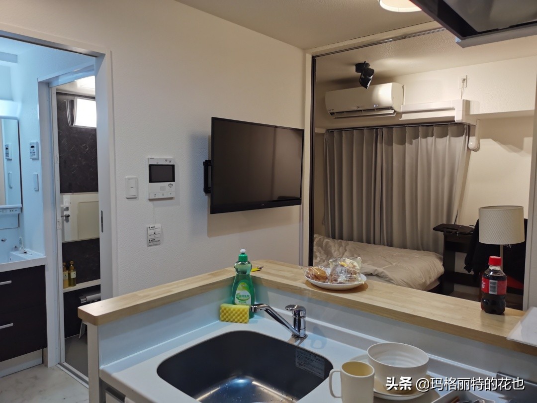 萁田森林公园和大阪的省钱之旅|行摄日本