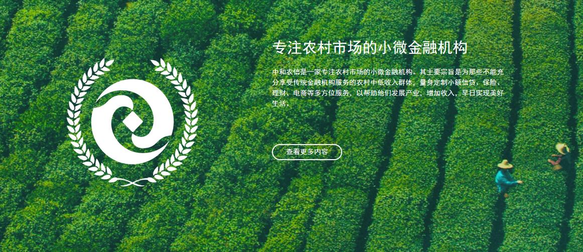 极速贷申请技巧,中和农信极速贷怎么还