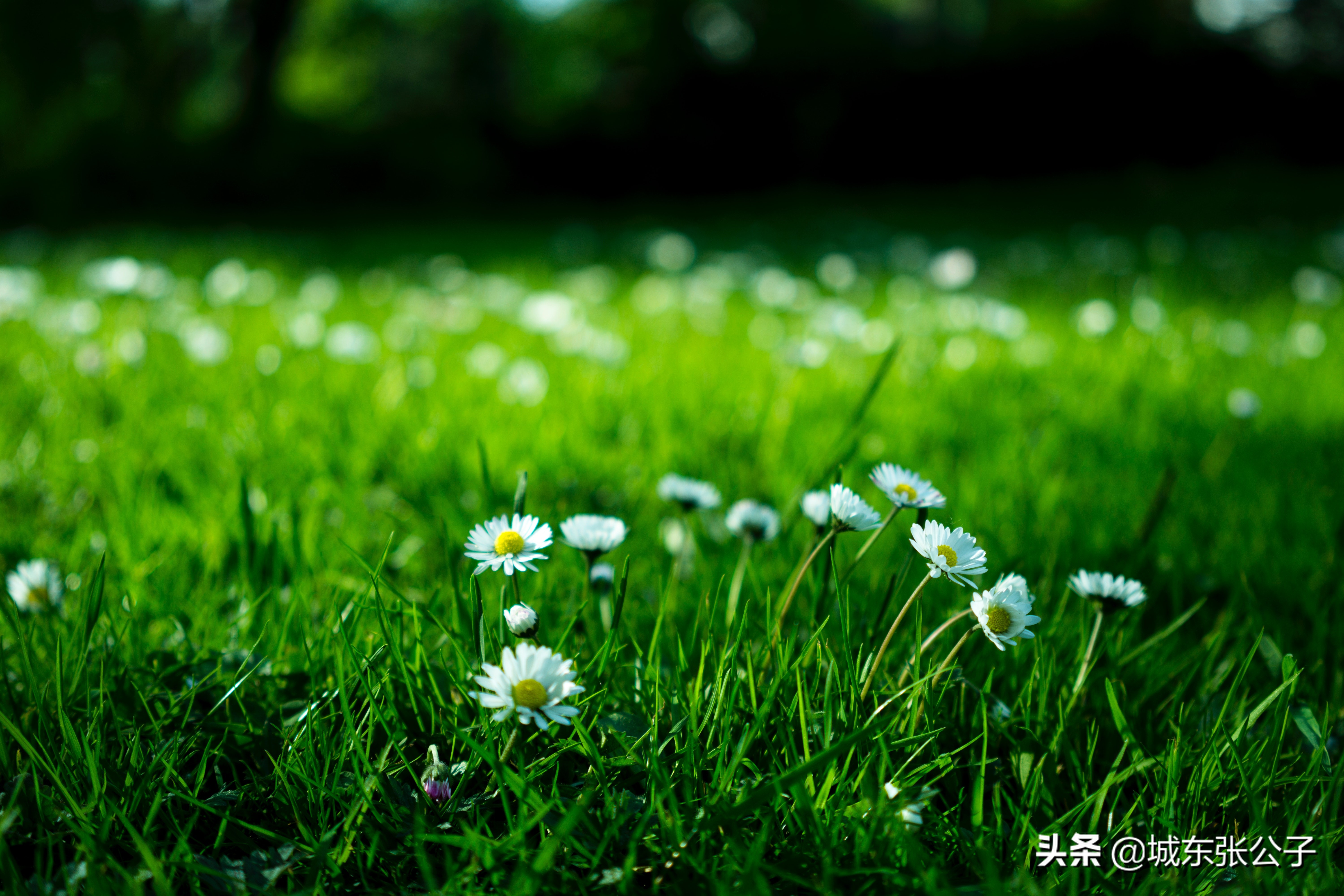 对待心智不成熟的男人怎么办,心理不成熟的男人表现