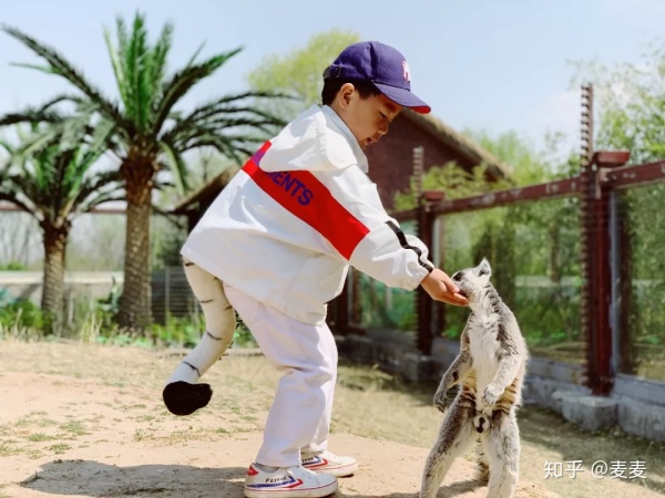 野生动物园长隆游玩攻略,野生动物园长隆攻略图片