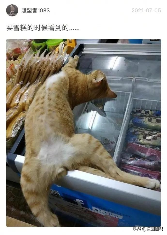 高铁可以在前一个站坐车么,高铁坐过站出得去吗