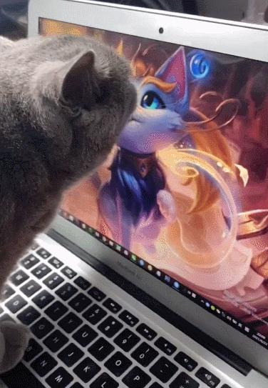 橘猫被抓警察局,肥猫被警察带走判刑