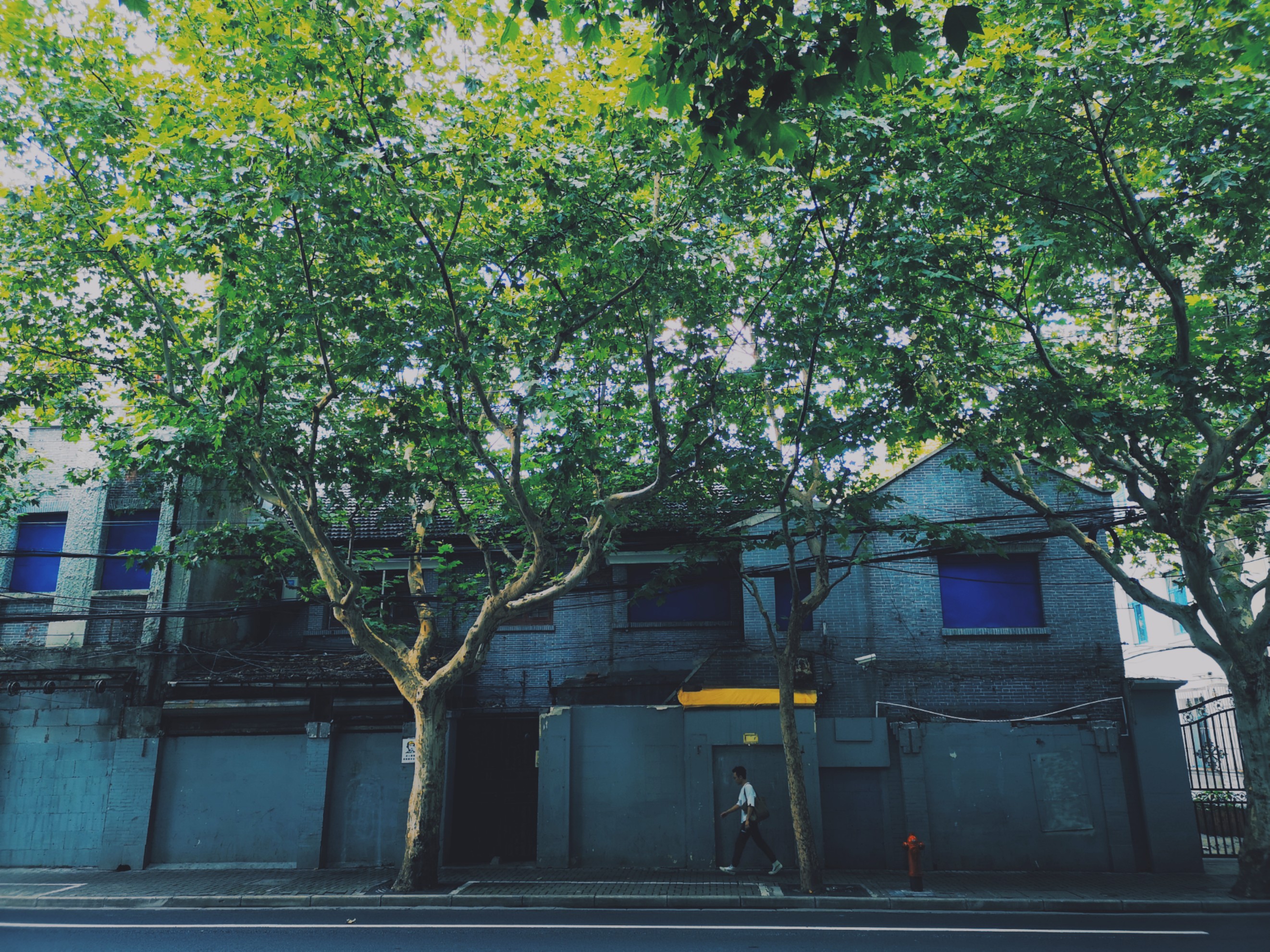 上海陆家嘴有哪些富人,上海陆家嘴低调富豪