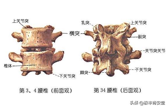 腰部不舒服图片,腰不舒服但是检查都正常