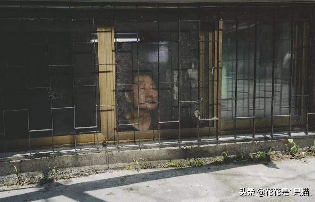 甚至不配拥有*生活性**？寄生只是为了“生”，并不都是虫