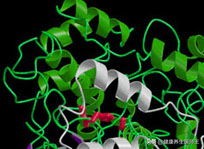 肿瘤标志物3项能查什么,肺肿瘤标志物怎么检查