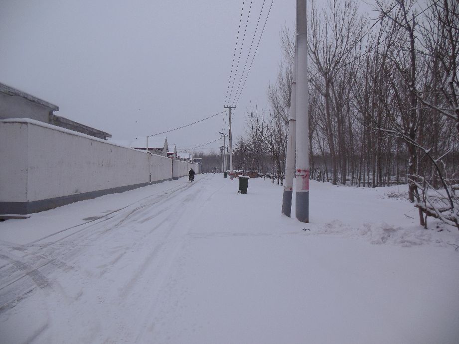 期盼一场雪的到来,期待一场雪的到来诗句