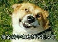 3部毁三观的韩剧,特别好看的韩剧小众