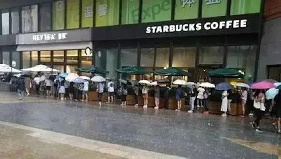 当一只苍蝇决定在喜茶里自杀