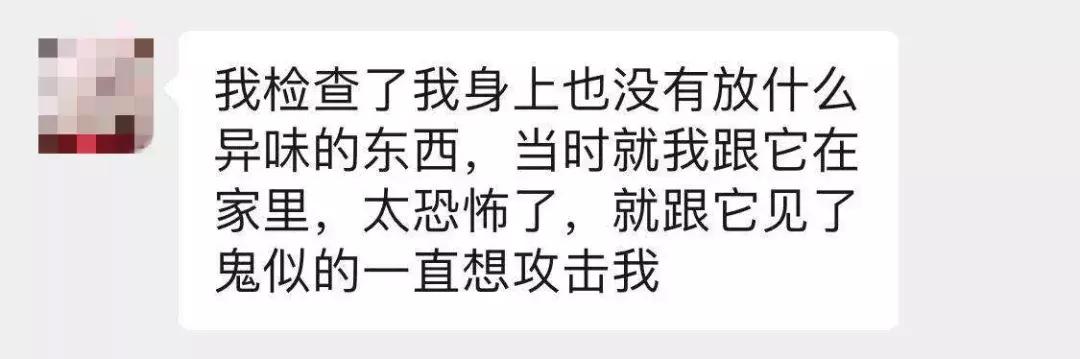 养了好多年的猫突然怕我,养了五年的猫很想把它扔了