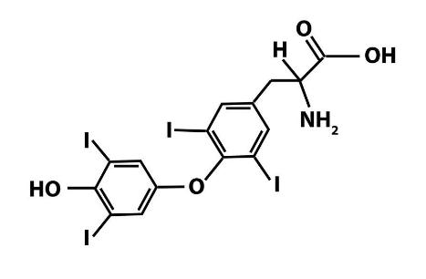 让人变肥胖的病,让人变瘦的不治之症
