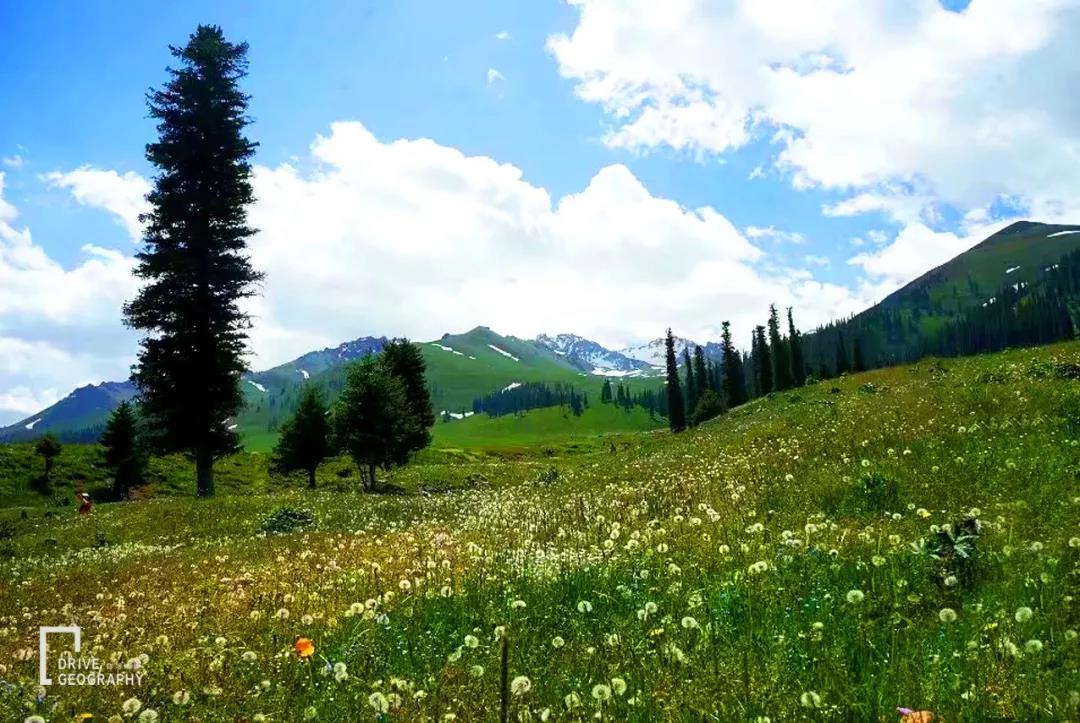 值得走一遭的网红公路,全疆最美的公路
