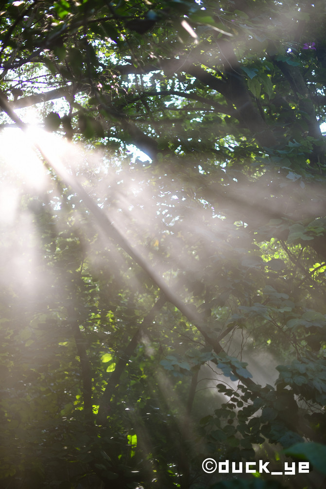 厦门网红拍照打卡地高铁,厦门旅游网红拍照