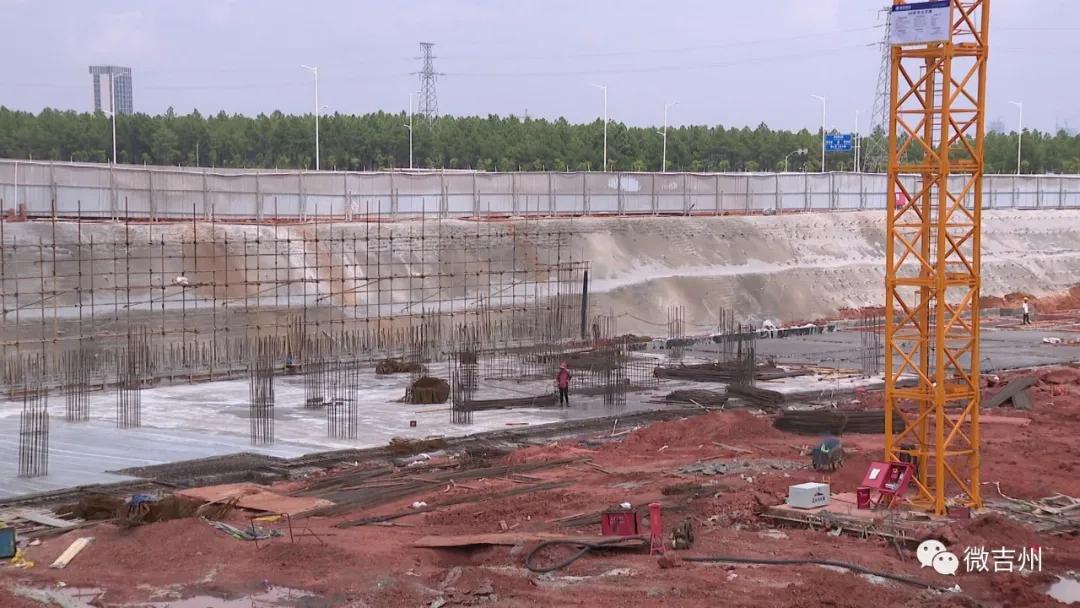 兴桥镇农业,兴桥镇农高区规划图