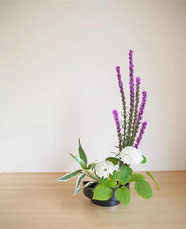 一花一世界一叶一菩提本来无一物,一花一世界一叶一菩提一场梦