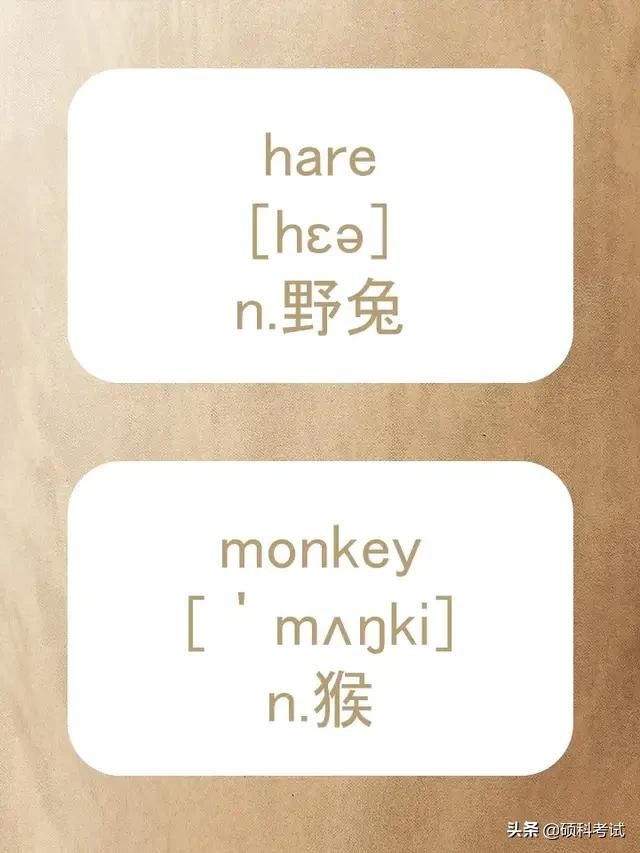 动物的英文拼写及音标,关于动物的单词及音标