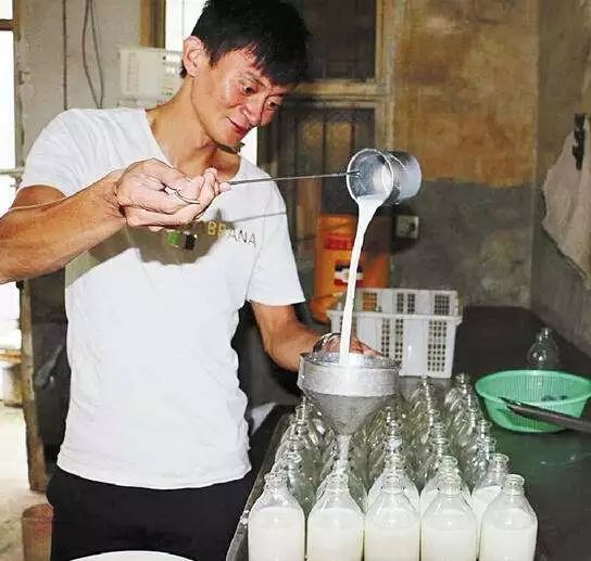 我们品尝不同的食物,澳洲的牛奶到底多好喝