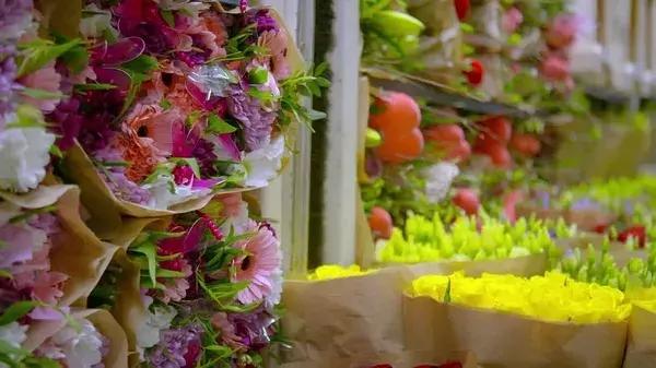 世界第一鲜花市场视频,bbc探秘墨西哥毒品战争