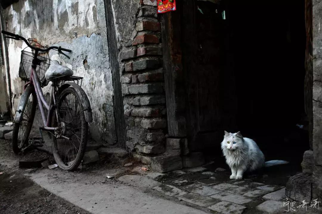 画面拍虚了怎么办,画面空洞怎么办