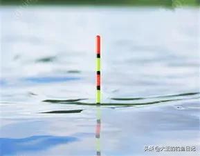 钓鲢鳙如何根据鱼情调整钩距,选好的钓鱼线