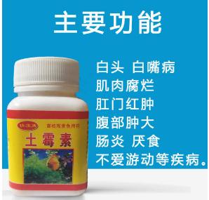 小鱼烂鳍烂尾怎么治,小鱼烂鳞怎么治疗